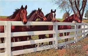 Friendly Gathering Free Lance Photographers Guild, Inc Unused 