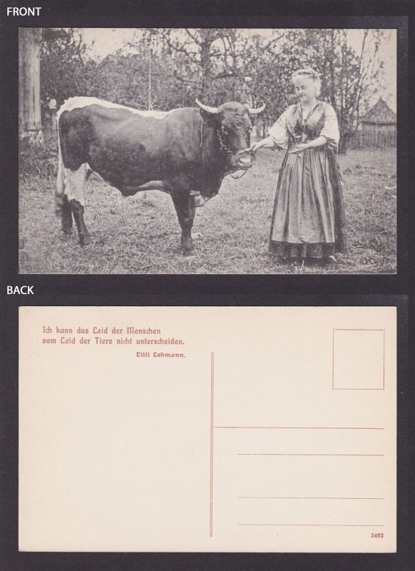 GERMANY, Vintage postcard, Lilli Lehmann, The cow and woman, Unposted