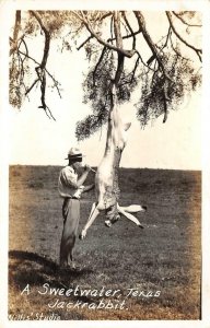 RPPC A Sweetwater, Texas Jackrabbit & Hunter 1939 Vintage Postcard