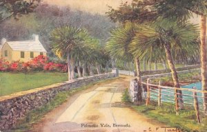 Palmetto Vale Bermuda Scenic View CF Tucker Vintage Postcard AA14745