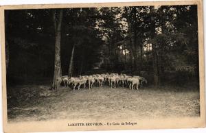 CPA LAMOTTE-BEUVRON - Un Coin de SOLOGNE (208686)