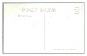 Prize Turkeys Postcard Vintage Standard View Card