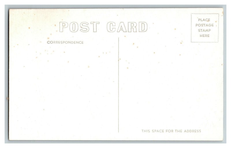 Prize Turkeys Postcard Vintage Standard View Card