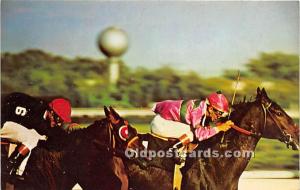 Aqueduct The Big A, Field Long Horse Racing Unused 
