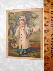 1886 Home Insurance Company of New York Cute Girl With Basket Trade Card A0