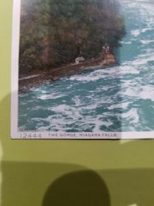 Antique Postcard, The Gorge, Niagara Falls  Detroit Photographic Co.  Phostint