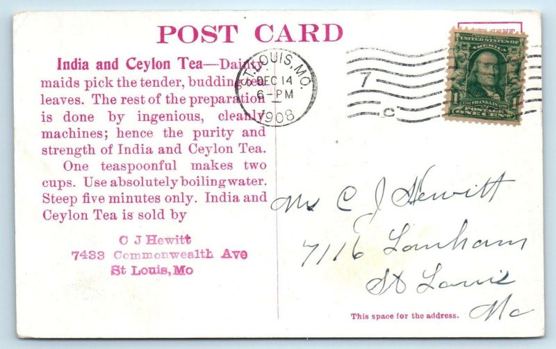 ST LOUIS, MO~ INDIA & CEYLON TEA ~   A Tea Picker 1908 Adverstising Postcard