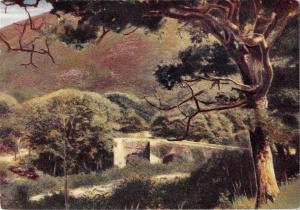 BR67279 dartmoor devon fingle bridge beauty spots homeland  postcard  uk 14x9cm