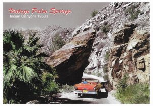 Vintage California Palm Springs Indian Canyon 1950s Man Driving TBird Car 4 by 6