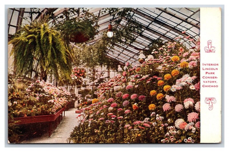 Interior Lincoln Park Conservatory Chicago IL Illinois UNP DB Postcard P22