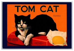 1930 Tom Cat Fruit Label Orosi Tulare County CA UNP Contiental Postcard Z8