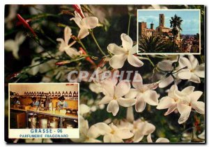 Postcard Modern Grasse Cite des Fleurs and The Cathedral Parjums Jasmine