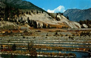 Canada British Columbia Lilloet Salmon Spawning Grounds