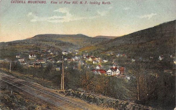 View Of Pine Hill, New York