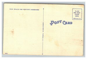 Vintage 1940's Postcard Washington Park Race Track Myrtle Beach South Carolina