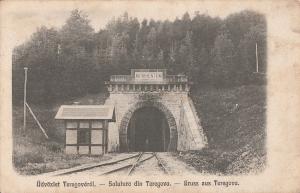 AK Gruss aus Romania 1918 Comuna Teregova Caraș-Severin train tunnel