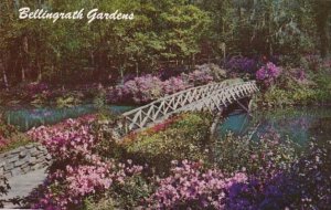 Alabama Mobile Bellingrath Gardens Azaleas Bordering The Walkway