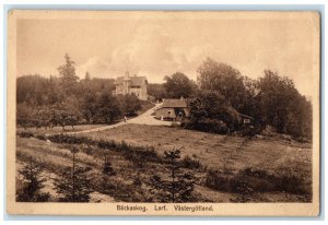 c1930's View of Backaskog Larf Vastergotland Skåne County Sweden Postcard