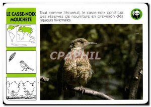 Map Le Casse Noix Mouchete Bird WWF