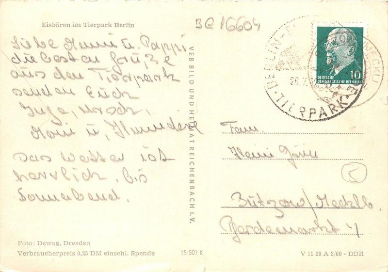 BG16604 eisbaren im tierpark berlin  bear ours  germany CPSM 14.5x9cm