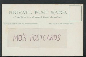 Canada Postcard - Queen Square, St John, New Brunswick   RS17055