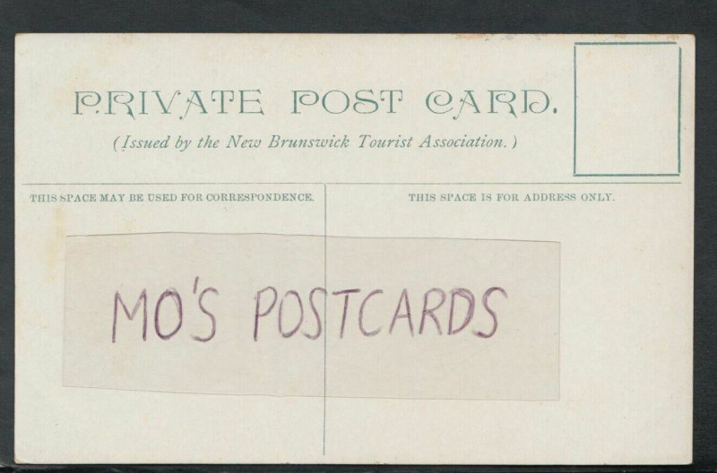 Canada Postcard - Queen Square, St John, New Brunswick   RS17055