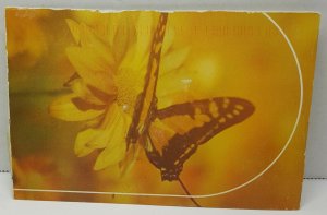 Butterfly Vintage Postcard
