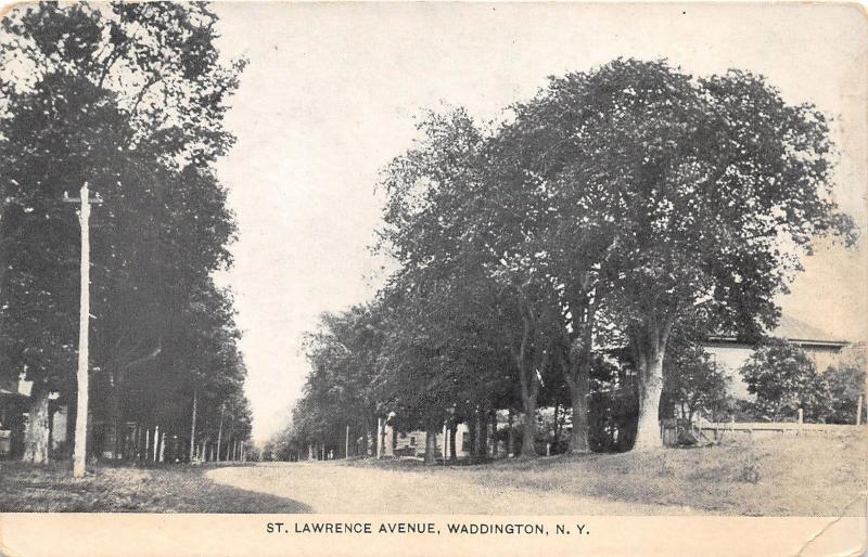 Waddington New York~St Lawrence Avenue~Houses behind Tall Trees~c1910 Postcard