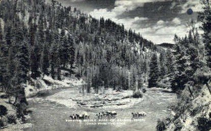 Fording Middle Fork of Salmon River - Idaho ID