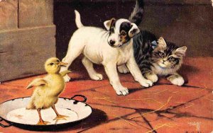 Bold Duckling Flapping Wings Puppy Kitten Watch artist B Cobbe Tuck postcard