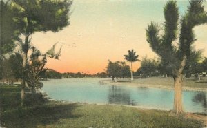 Caribbean Pines 1933 Winter Park Florida Postcard hand colored 20-8222