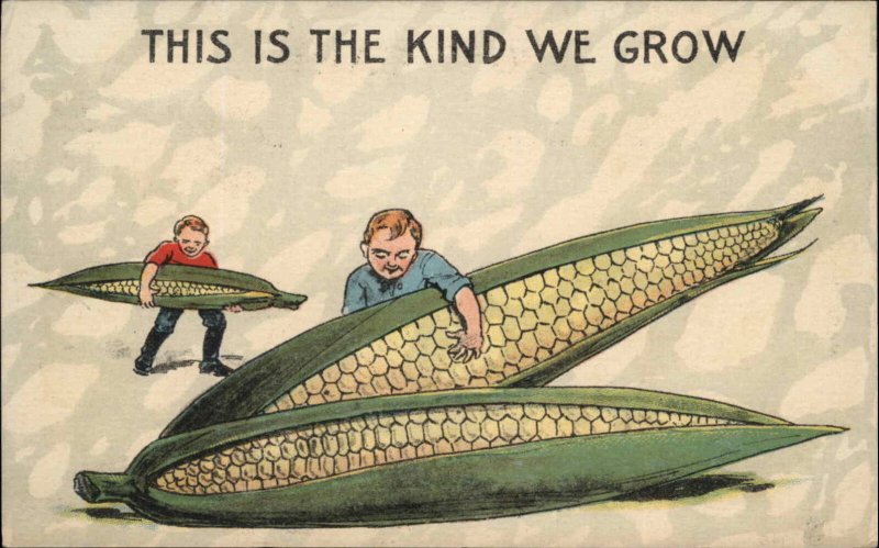 Exaggeration Farming Men with Giant Cobs of Corn Vintage Postcard