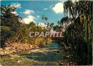  Modern Postcard Riviere of Baraoua Dimensions Western New Caledonia