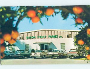 Pre-1980 STORE SHOP SCENE Bradenton Florida FL AF3129