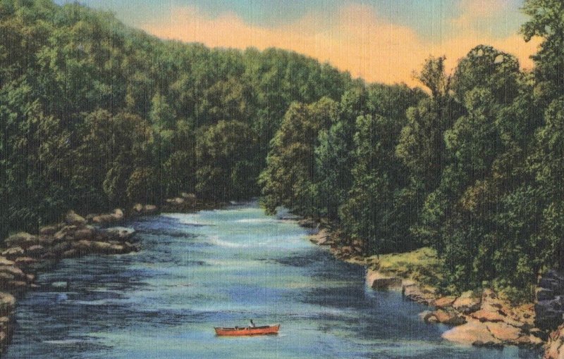 1948 Row Boat in Jonathan Creek Swimming Hole Zanesville Ohio Postcard 2R4-487
