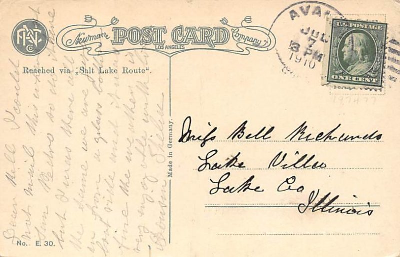 Flying Fish Fish 1910 