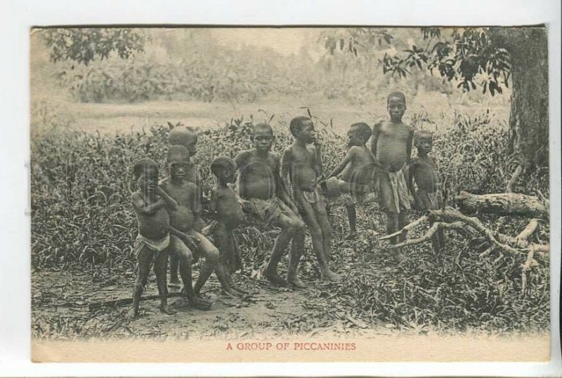 438956 British SOUTH Africa Semi-nude boys Vintage postcard