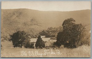 FORKS PA THE VALLEY ANTIQUE REAL PHOTO POSTCARD RPPC