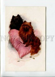 3157082 SPITZ on Pillow Vintage VIENNE Munk #883 PC