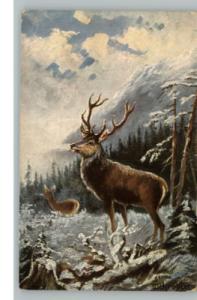 FOCHTOPLER Deer Buck & Doe Scene c1910 Postcard