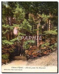 Old Postcard Chateau d & # 39Epinal Allee the large pine Weymouth