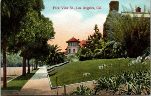 Vtg 1910s Park View Street Homes Los Angeles California CA Postcard