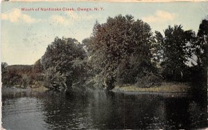 Mouth of Nanticoke Creek Owego, New York