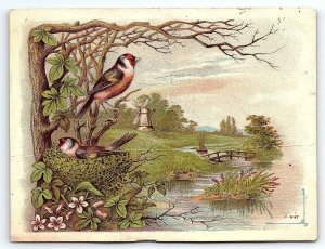c1880 DR. HENNIG'S SARSAPARILLA BIRDS WINDMILL STREAM VICTORIAN TRADE CARD Z4098