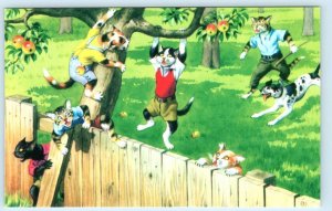 Mainzer DRESSED CATS ~ FLEEING DOG Anthropomorphic  #4867 Turkey Postcard