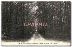 Blain Old Postcard Surroundings Foret du Gavre An avenue