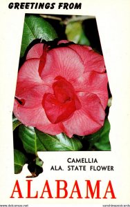Alabama Greetings With State Flower The Camellia