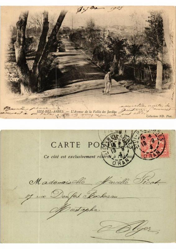 CPA AK Algerie - Sidi-Bel-Abbes - L'Avenue de la Vallée des Jardins (774024)