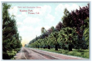 Kearney Park Dirt Road Tree-lined Scene Fresno California CA Antique Postcard