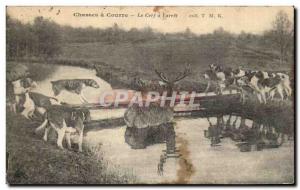Old Postcard hunts a stag Hart & # 39arret the Hunting Dogs Oise Chantilly